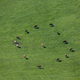 Illustration for article titled The Odd and Mesmerizing Aerial Photos of Klaus Leidorf